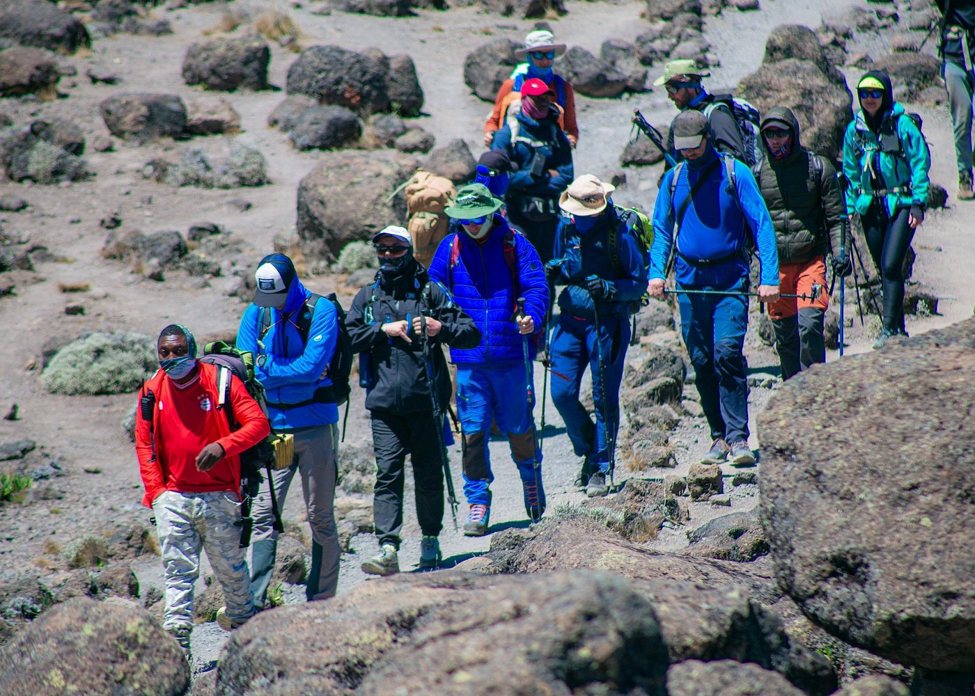 Kilimanjaro climb, Lemosho Route (8-day)Kilimanjaro climb, Lemosho Route (8-day)